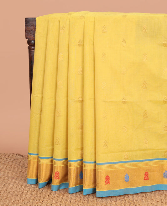 Yellow buttas Venkatagiri cotton saree, contrast traditional zari border, and zari striped pallu