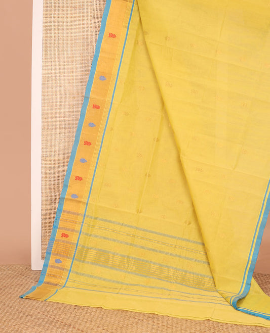 Yellow buttas Venkatagiri cotton saree, contrast traditional zari border, and zari striped pallu