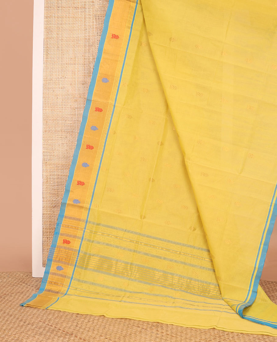 Yellow buttas Venkatagiri cotton saree, contrast traditional zari border, and zari striped pallu