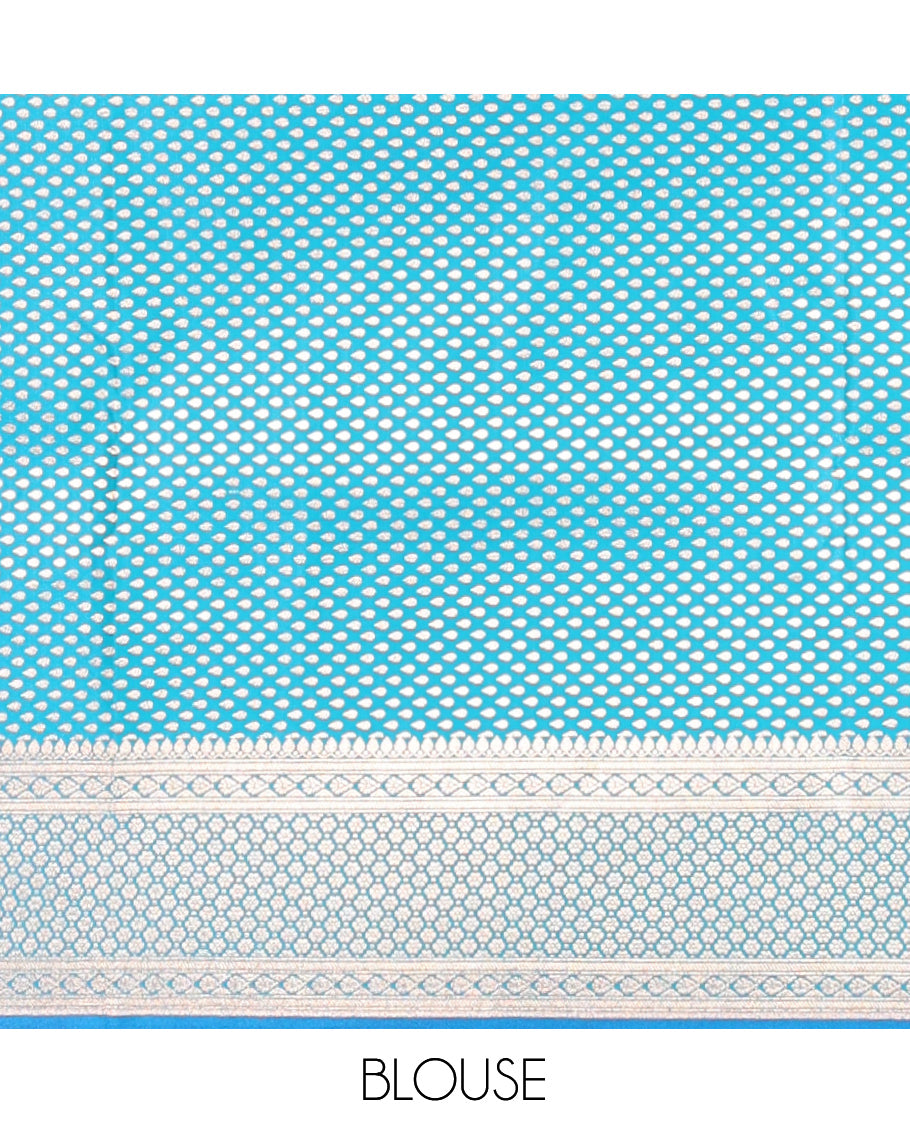 Light Blue Banarasi Nylon Saree, Detailed with Jacquard, a Floral Creeper Zari Border, Intricate Pallu, and a Matching Blouse