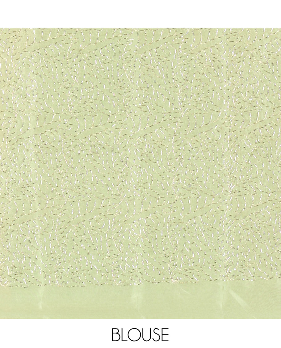 Borderless Parrot Green Plain Rangoli Chiffon Saree