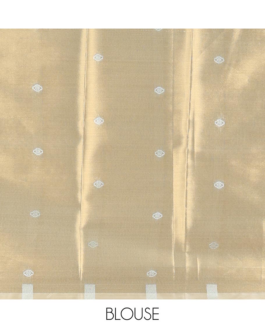 Light brown soft silk saree with contrast striped border & zari design pallu