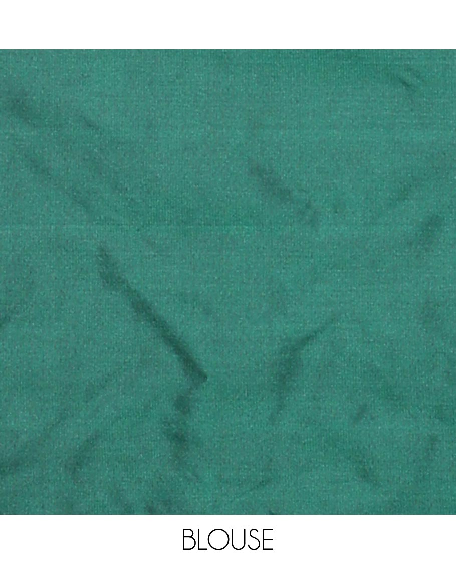Green allover vari ousi zari checks bhavasha silk saree with velthari design border & self lining, tussels pallu along with contrast plain blouse