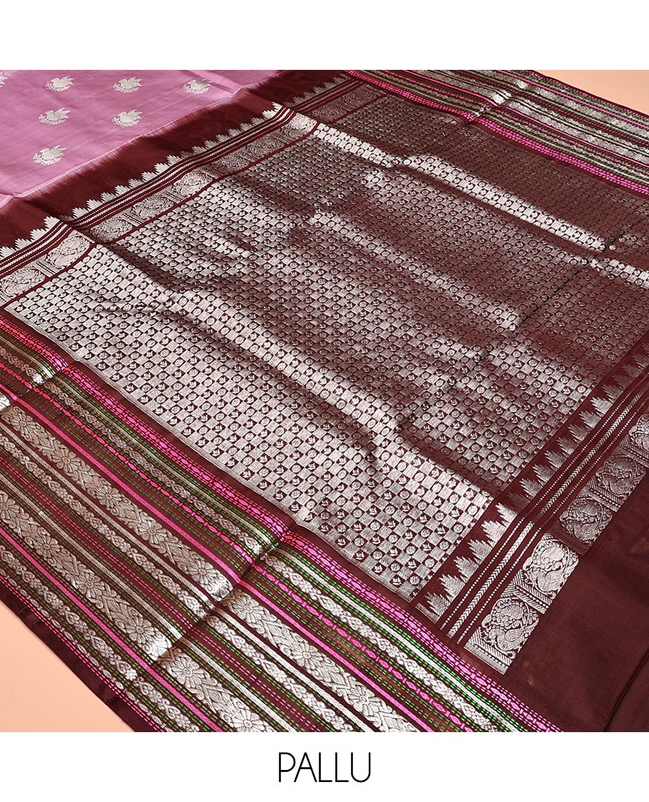Purple Venkatagiri Silk Saree