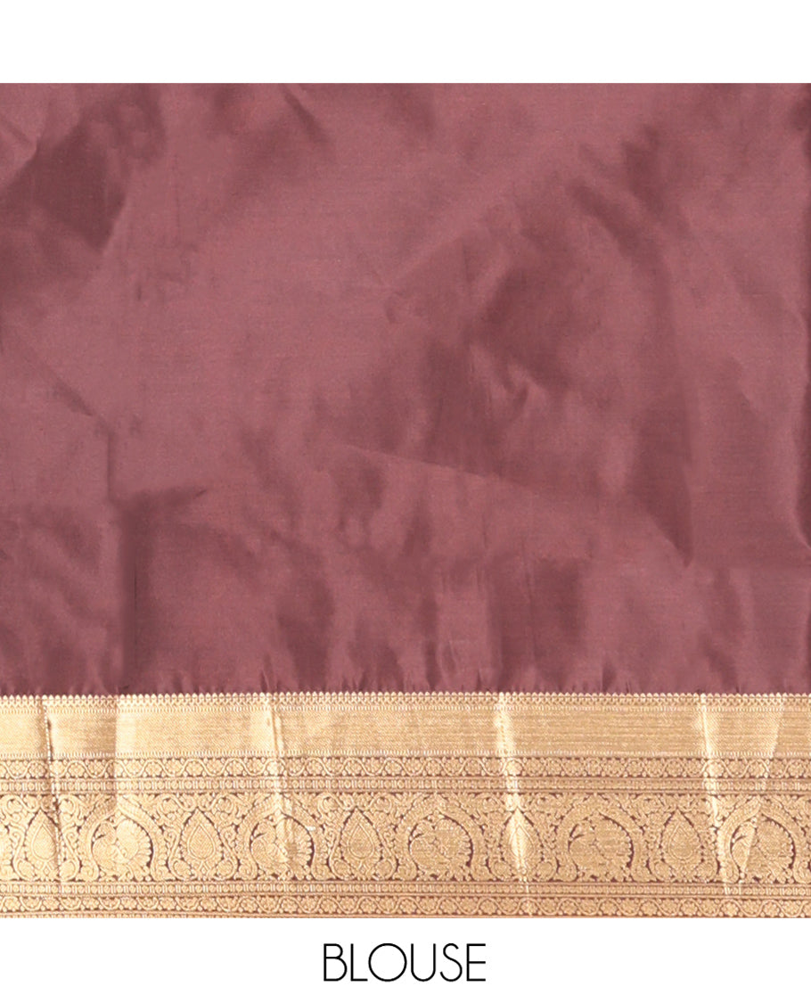 Brown Saree