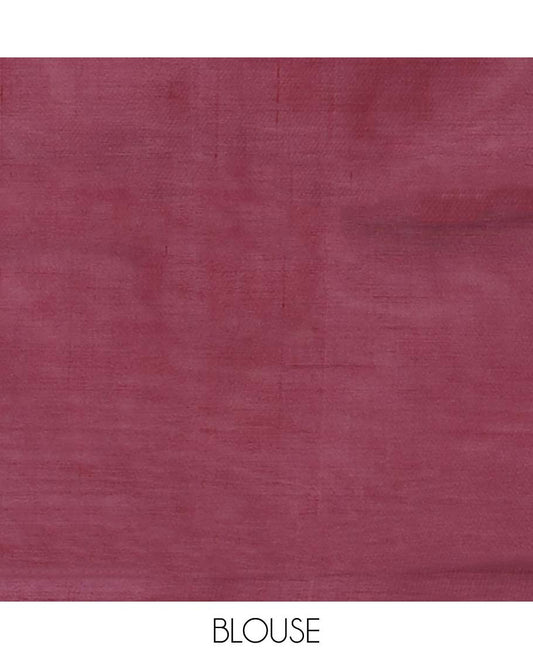 Borderless grey paisley motifs banana pith saree & striped, paisley motifs pallu