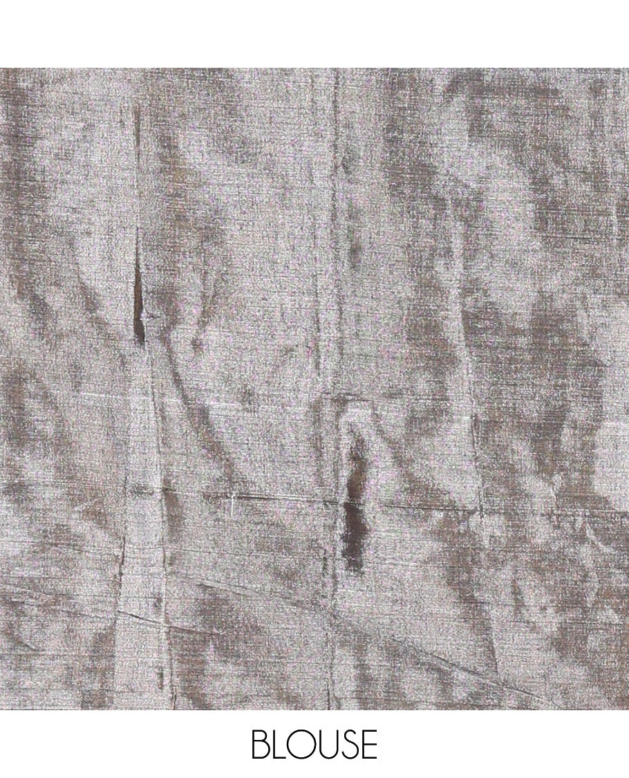 Silver and gold half-and-half plain khadi tissue saree with a self-pallu and a matching blouse