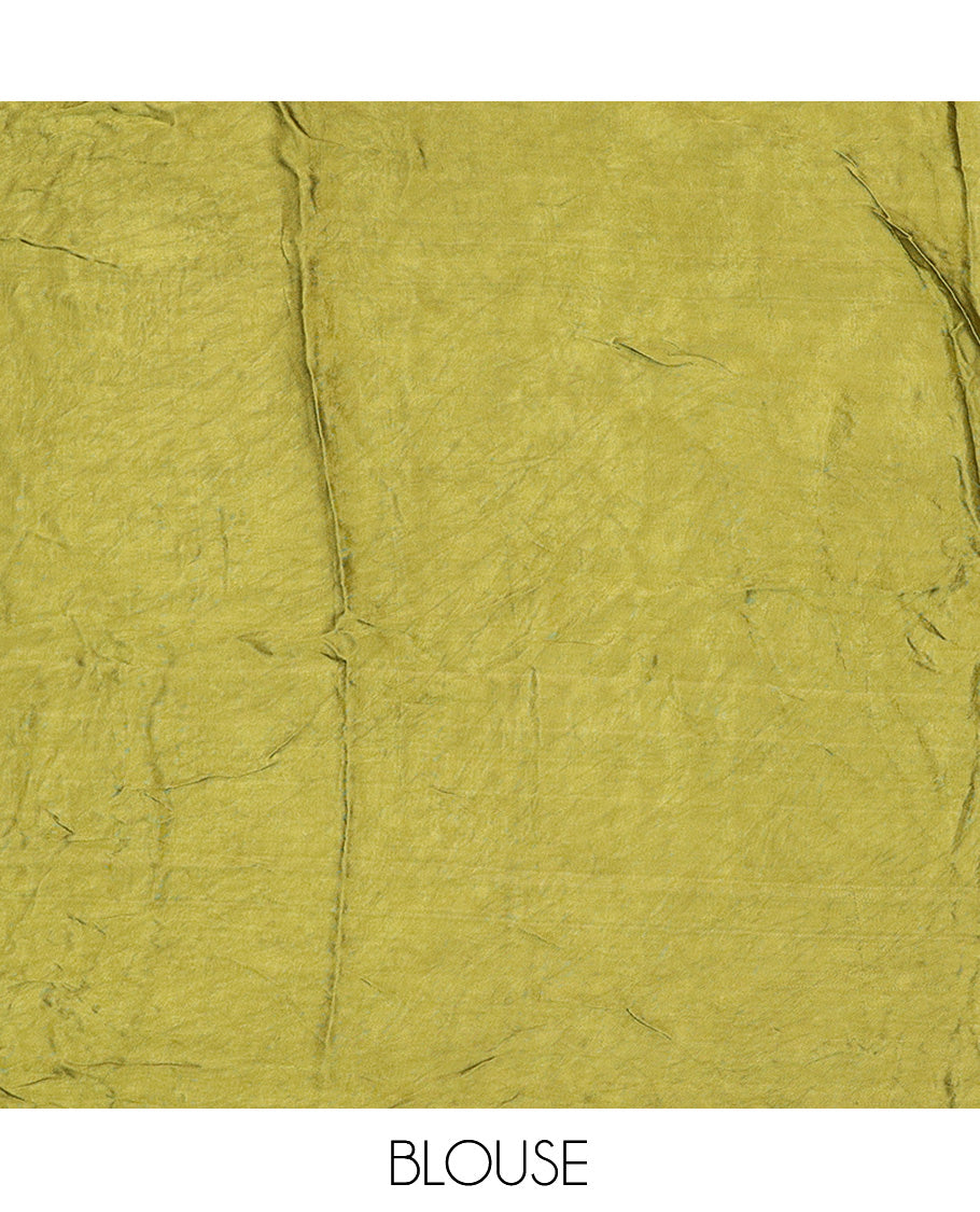 Borderless Green Bandhani Dola Silk Saree