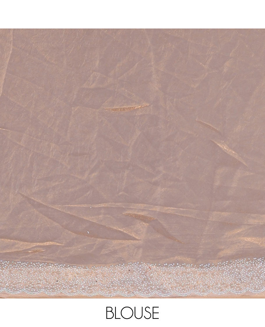 Grey Swarovski crystal stone embedded fendy chiffon saree, scallop Swarovski stone embroidered border, and contrast plain blouse