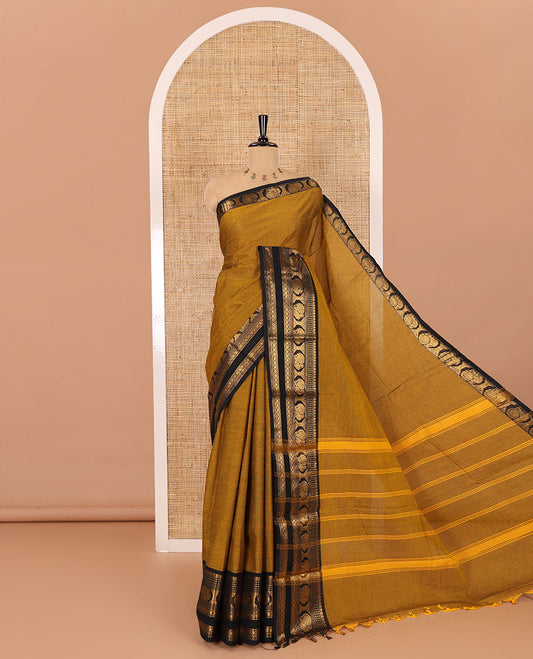 Gold plain design chettinad cotton saree, contrast traditional zari border of peacock motifs, striped pallu, and a matching blouse