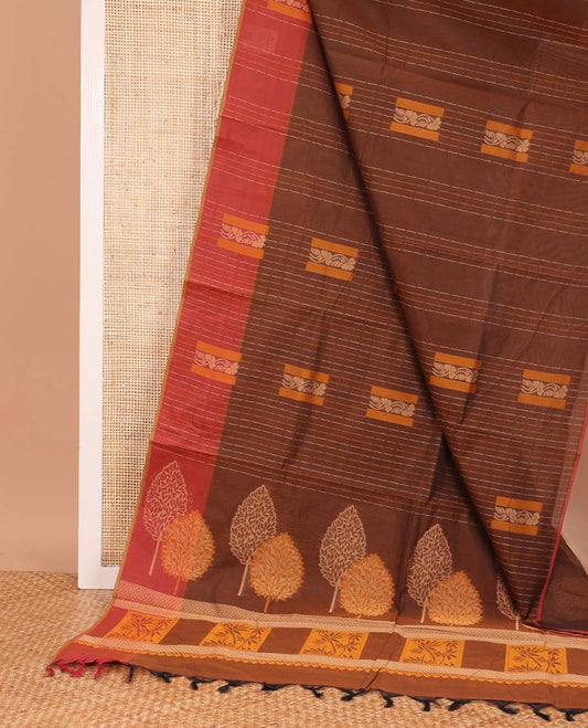 Borderless brown buttas and dotted striped Coimbatore cotton saree, contrast border, and pallu of tree motifs