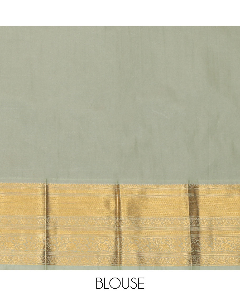 Brown Budget Silk Saree, Spotlighted with Peacock Buttas and Checks, a Contrast Traditional Zari Border, an Intricate Pallu and a Contrast Blouse