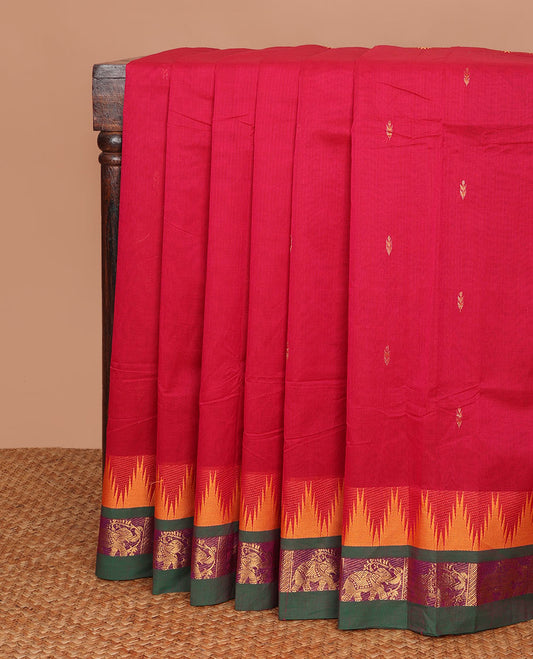 Red buttas Chettinad cotton saree, contrast temple border of elephant zari designs & pallu of stripes & buttas