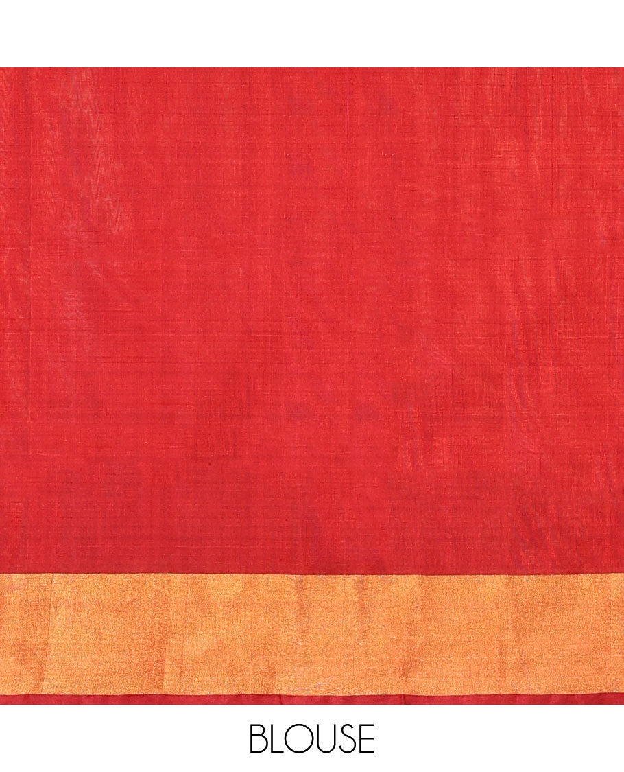 Orange Plain Uppada Silk Saree, Contrast Zari Border, Plain Pallu, and a Contrast Blouse