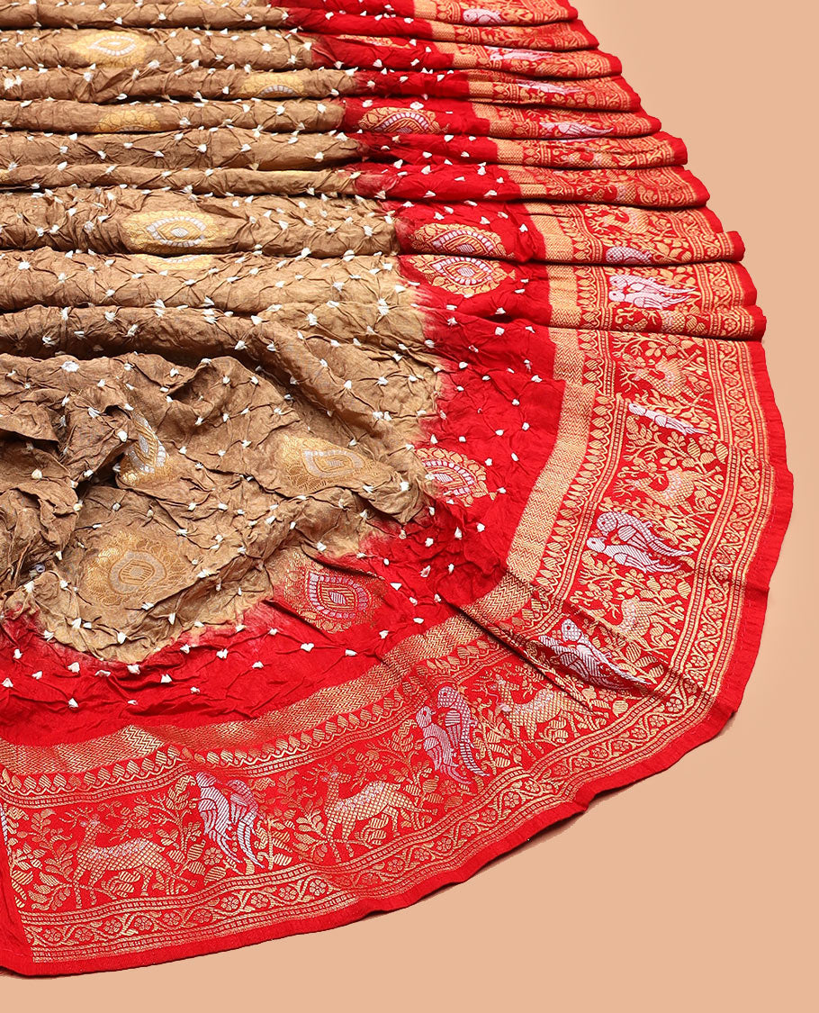 Brown bandhani dots and zari buttas bandhani silk saree, contrast flora-fauna motifs woven border, and patola elephant enclosed ogee patterned pallu