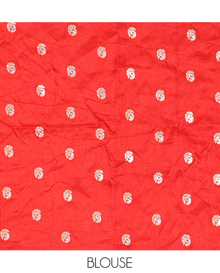 Off-White-Red Chiffon Saree, Ornamented with Dual-Dyed and Zari Checks, Paisley Border, Striped Pallu, Contrast Blouse
