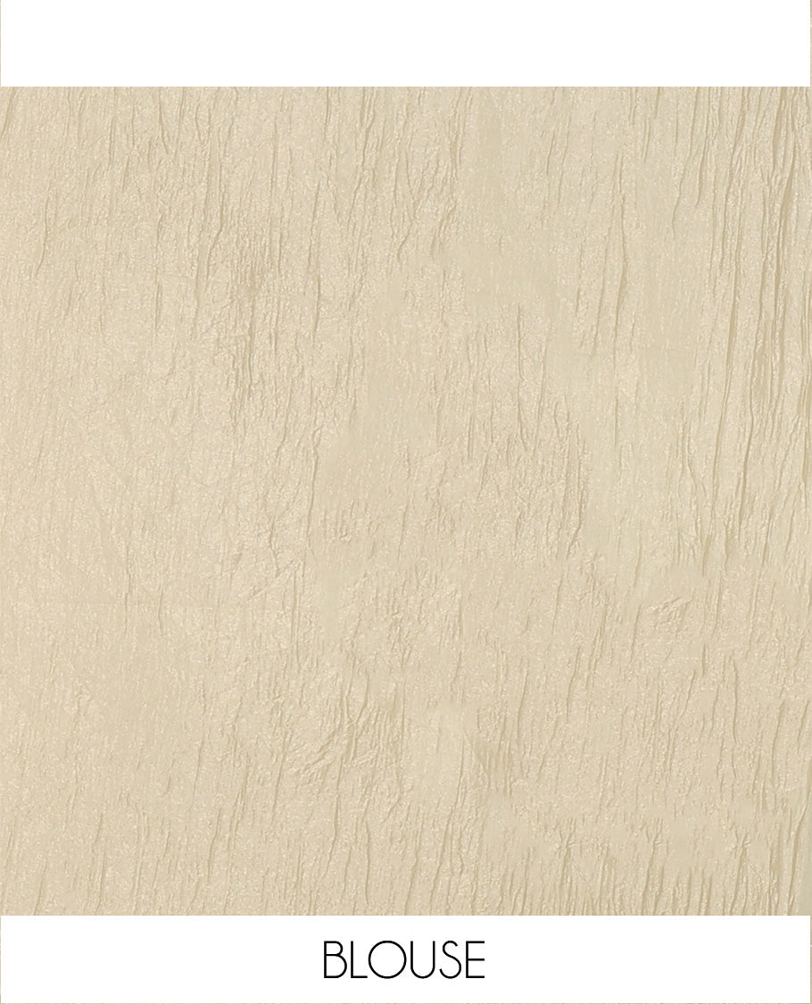 Borderless beige floral vine thread embroidered tissue saree, floral vine thread embroidered pallu