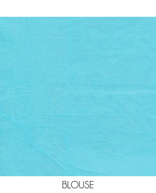 Borderless blue stripes & square buttas Coimbatore cotton saree, self-pallu of floral design