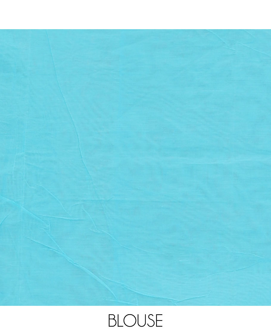 Borderless blue stripes & square buttas Coimbatore cotton saree, self-pallu of floral design