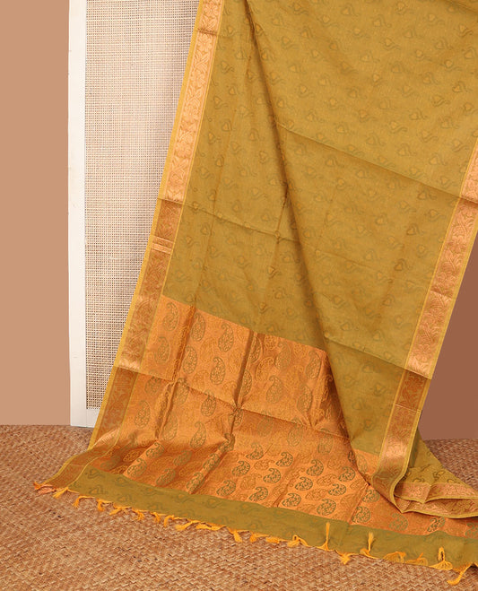 Green unique design Combatiore cotton saree, traditional zari design border & pallu steeped with paisleys