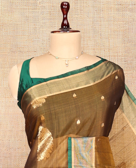 Brown Silk Cotton Saree