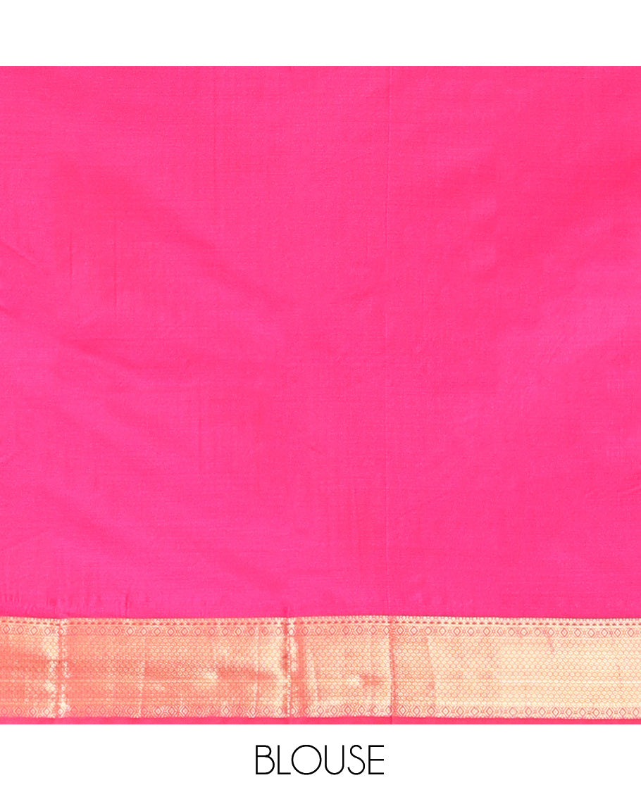 Grey Budget Silk Saree, Decorated with Zari Designs, Complemented by a Contrast Traditional Zari Border, Pallu of Intricate Designs, and a Contrast Blouse