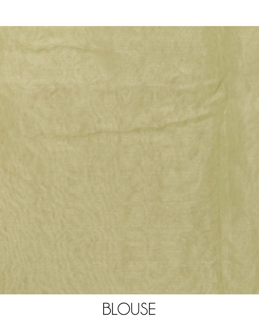 Green Organza Saree Beautified with Tropical Floral Embroidery, a Subtle Scallop Border, and a Matching Blouse