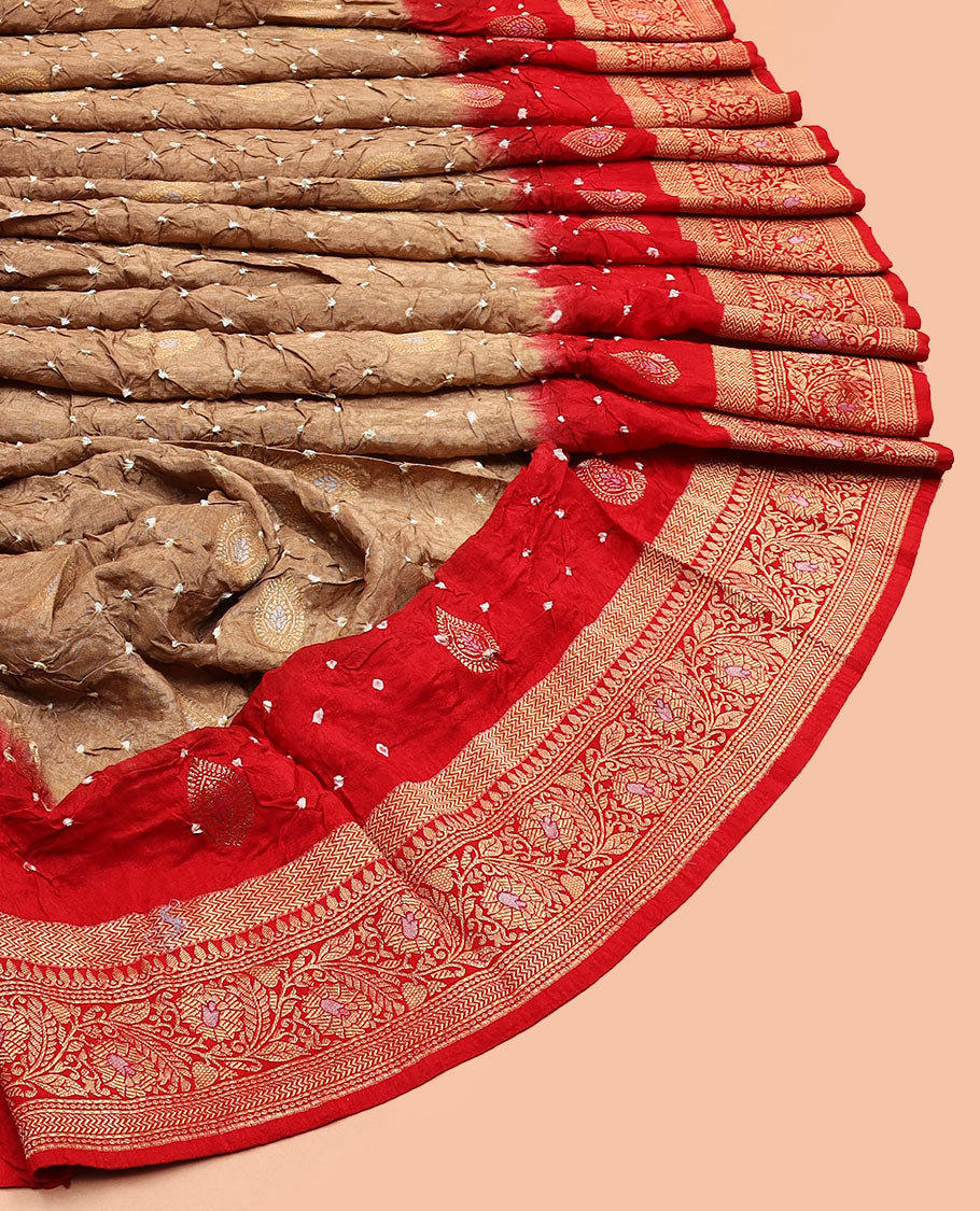 Brown bandhani dots and zari buttas bandhani silk saree, contrast floral creeper zari border, and patola butta enclosed checked pallu