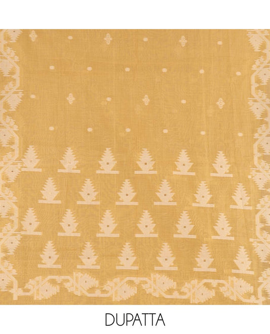 Cream with yellow semi-chanderi material churidar set, floral jaal jacquard top, contrast taffeta silk bottom, and jamdani style dupatta