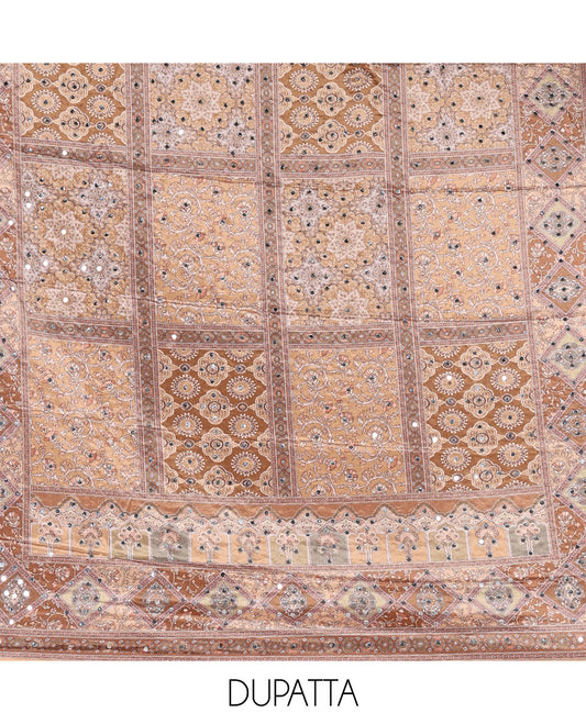 Chikku material chudidar set, intricately printed with original mirror work crepe top, Italian crepe bottom, and chinon digital print, mirror work dupatta