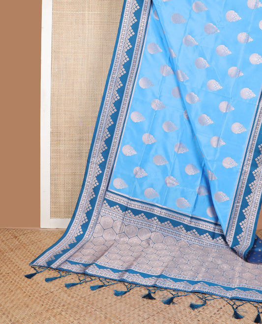 Sky blue floral design butter silk saree with contrast geometric design border & honeycomb design pallu