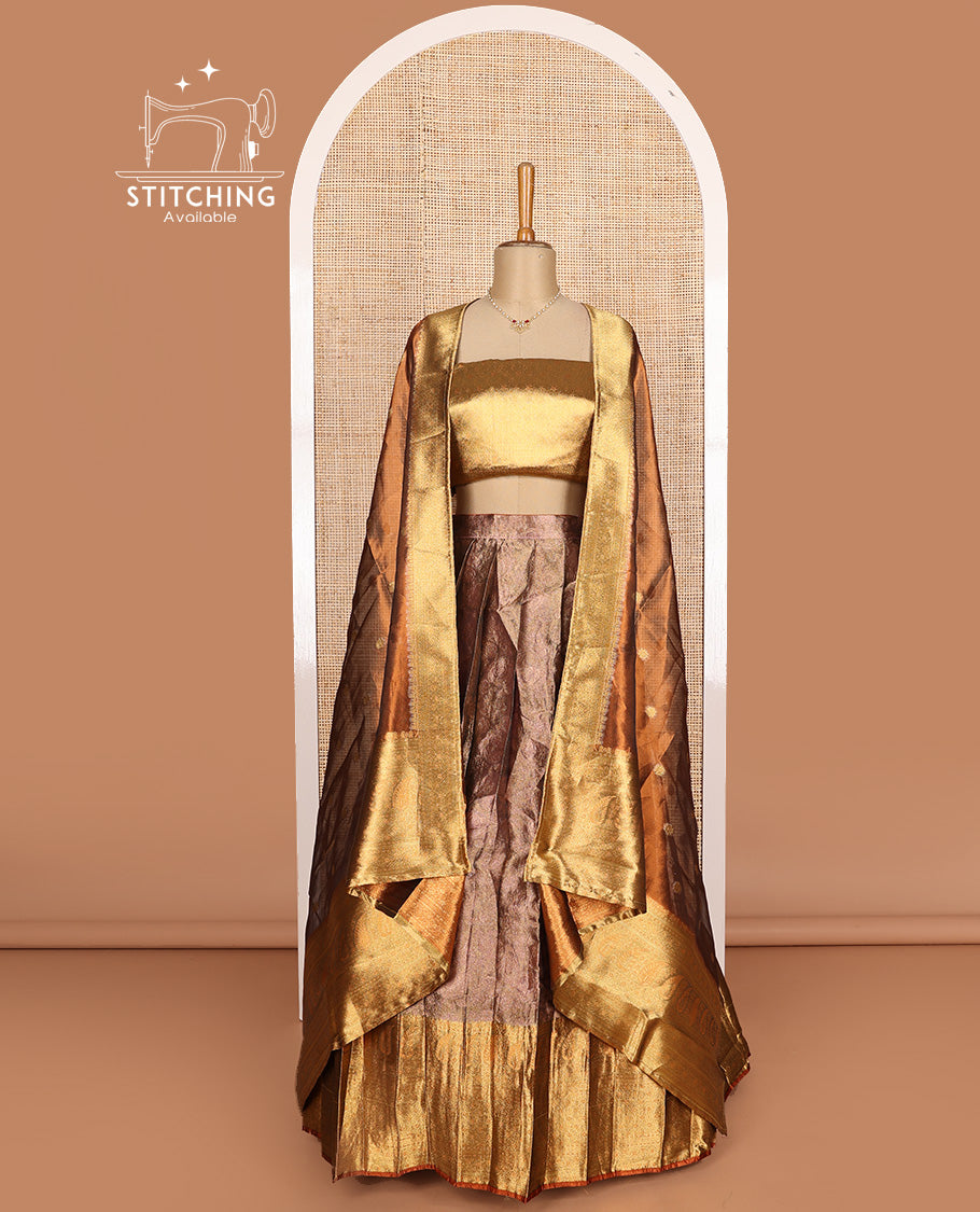 Brown art silk half-saree, sparsely design with contrast traditional motifs bordered skirt, contrast blouse, and traditional motif dhavani