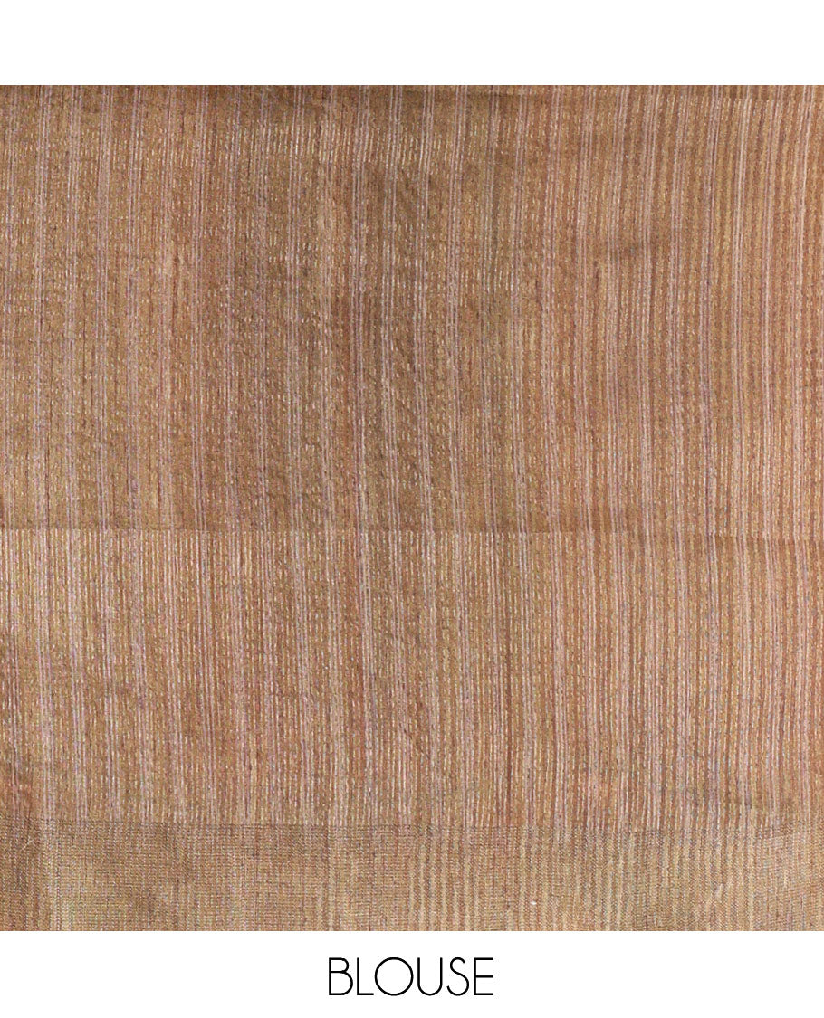 Grey Fancy Tussar Silk Saree