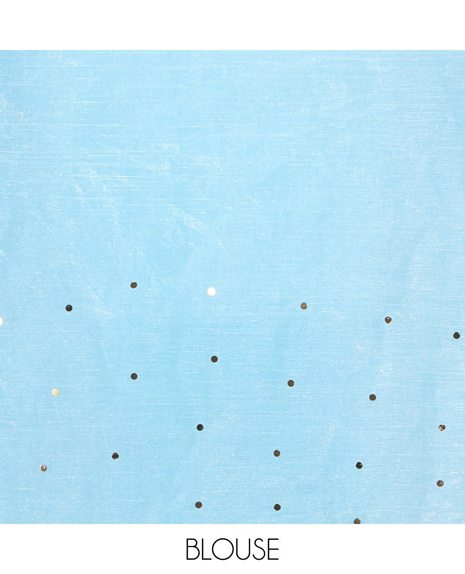 Borderless Sky Blue Fendy Chiffon Saree, Gleamed Up with Sequin Work on Its Body, Highlighted by a Self-Pallu of Sequin Work, and Paired with a Matching Blouse