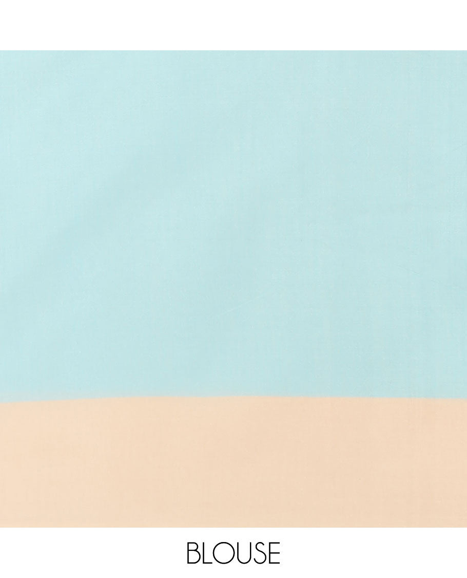 Light blue silver zari weaving silk cotton saree with self border & contrast pallu along with plain blouse