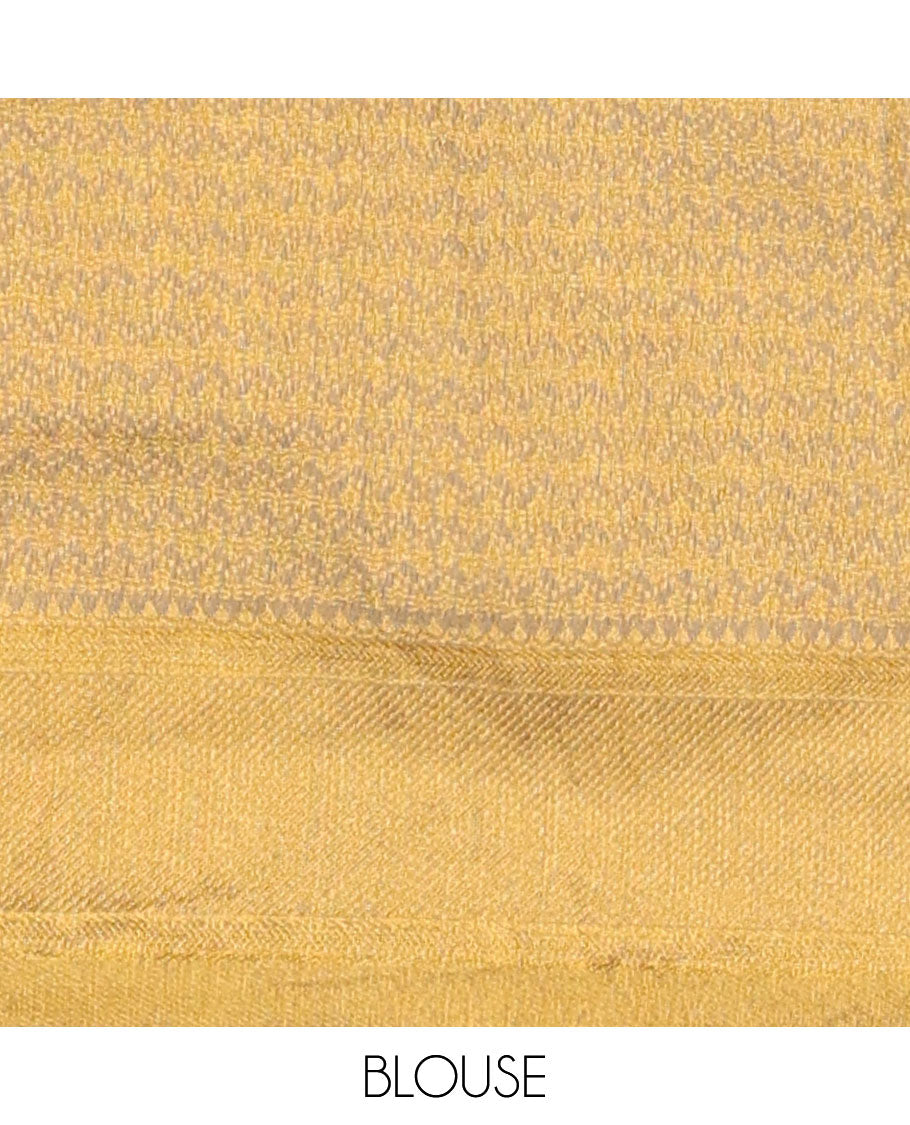 Brown buttad tissue half saree with contrast striped border, zari design blouse & floral design dhavani