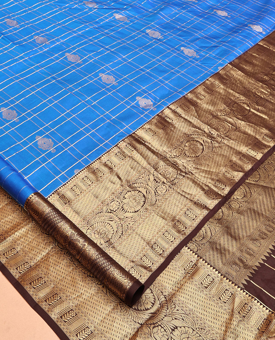 Blue and Brown Vasundhara Silk Saree