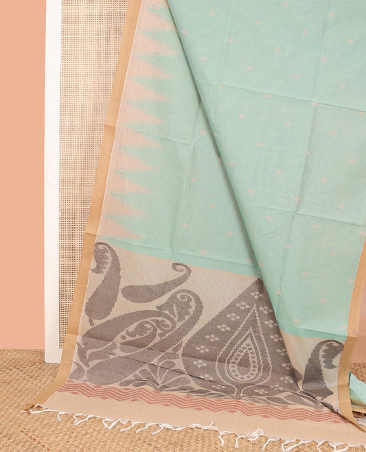 Light blue floral design coimbatore cotton saree with contrast border & floral design pallu