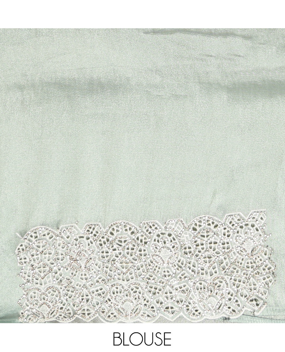 Pale Green Designer Saree, Decorated with Stonework, Scallop-Cut Work Border, Self Pallu, and Matching Blouse