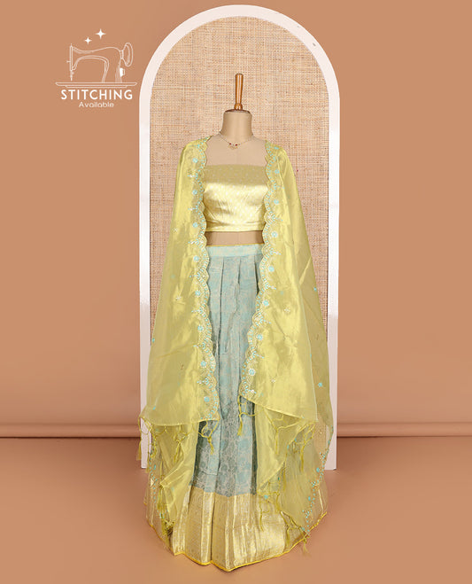 Pastel grey art silk half-saree, floral vine with contrast traditional border skirt, brocade blouse, scallop thread embroidered dhavani, and detachable belt