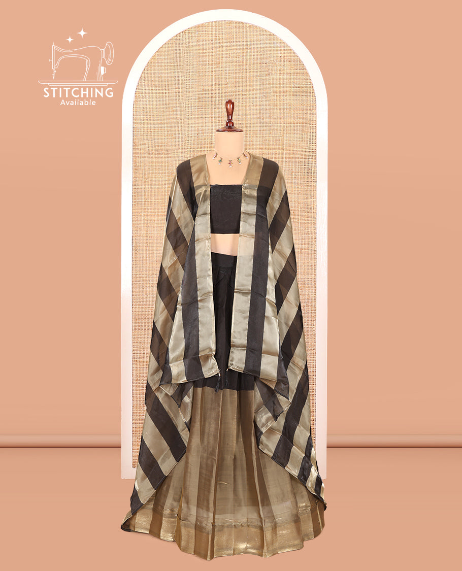 Black Velvet Organza Half-Saree