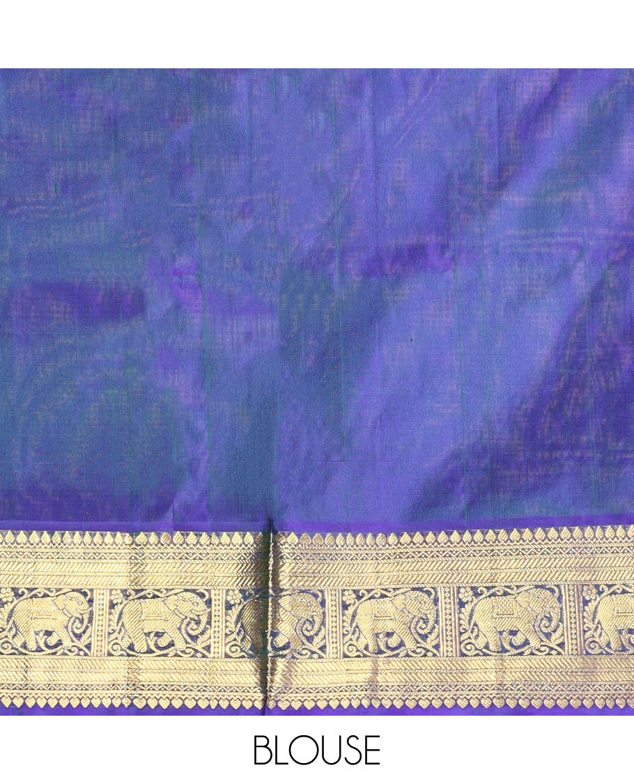 Blue Jacquard Venkatagiri Silk Saree, a Traditional Zari Border, Jaal Pallu, and a Matching Blouse