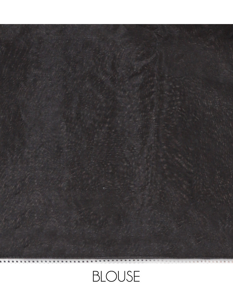 Black Organza Saree, Mesmerized with Floral Embroidery Design, a Scallop Lace Border, and a Matching Blouse