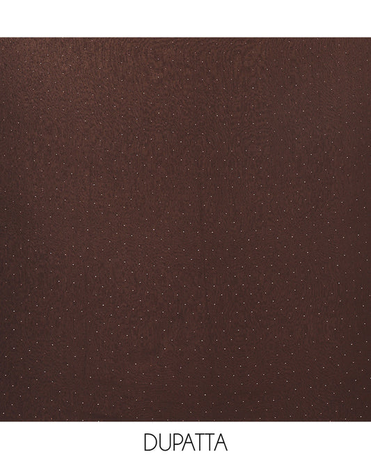 Black Material Churidar Set, Swarovski Stone Work Fox Georgette Top, Comes with a Plain Santoon Bottom, and a Scallop Swarovski Stone Work Fox Georgette Dupatta