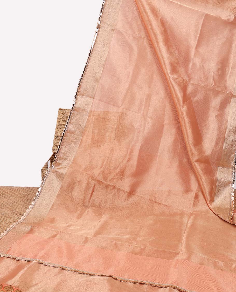 Orange tissue saree with self zari, scallop border & striped pallu