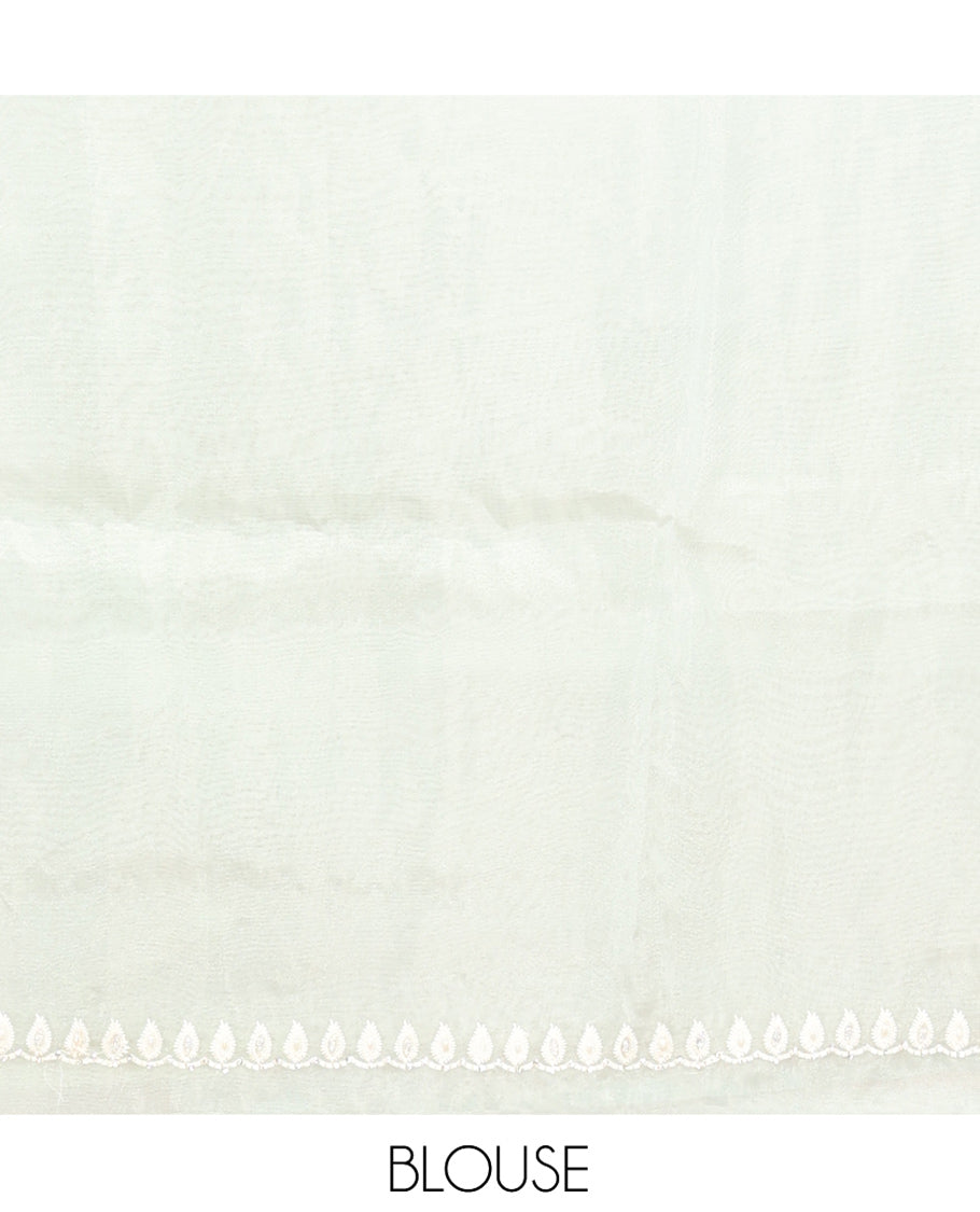 Pale Green Organza Saree, Elegantly Detailed with Floral Vine Embroidery, Scallop Embroidery Border, and a Matching Blouse