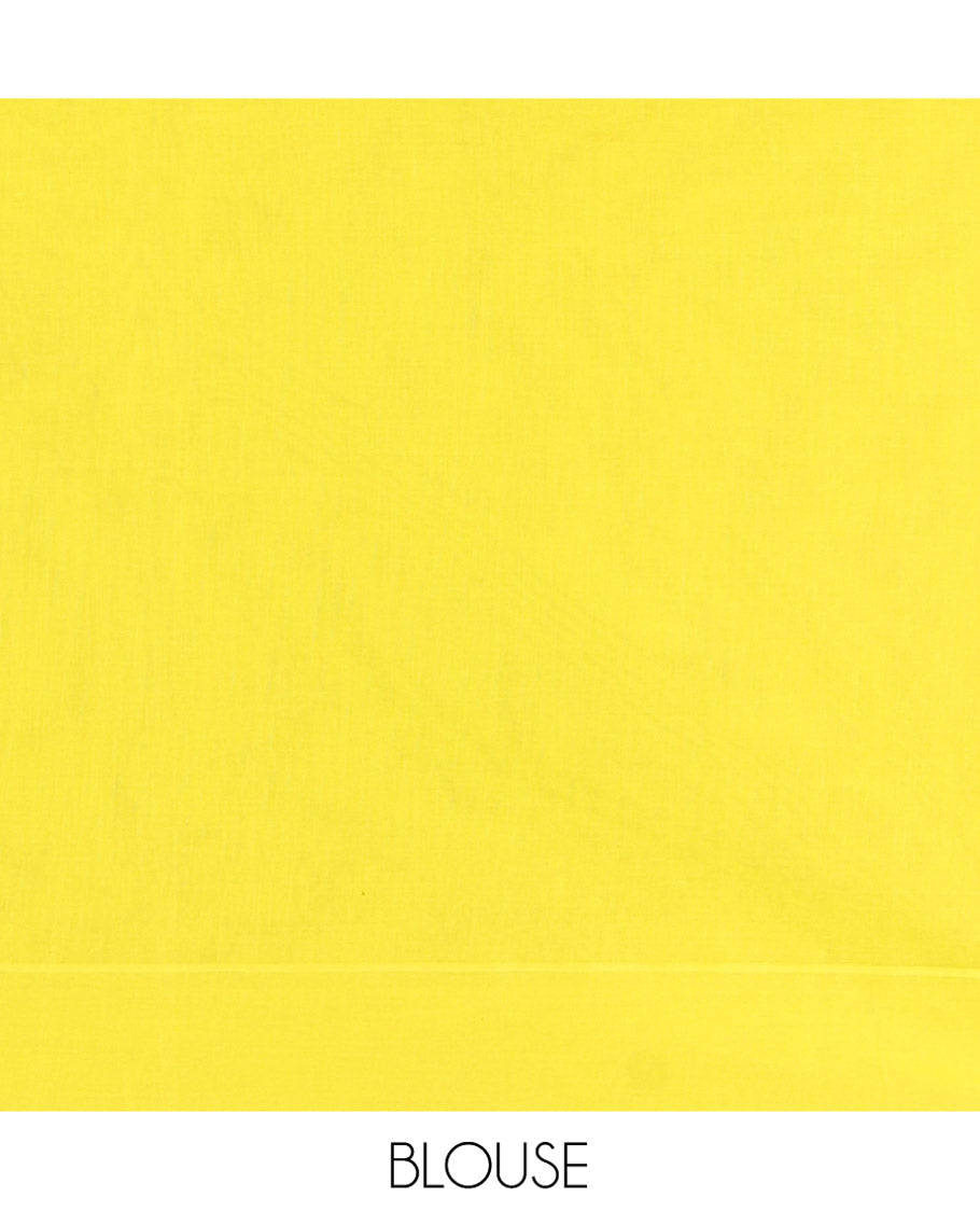Yellow and Green Coimbatore Cotton Saree, Subtly Sparkled with Stripes on Its Body, Plain Border, Sparsely Sparkled Pallu of Floral Creeper Designs, and Paired with a Matching Blouse