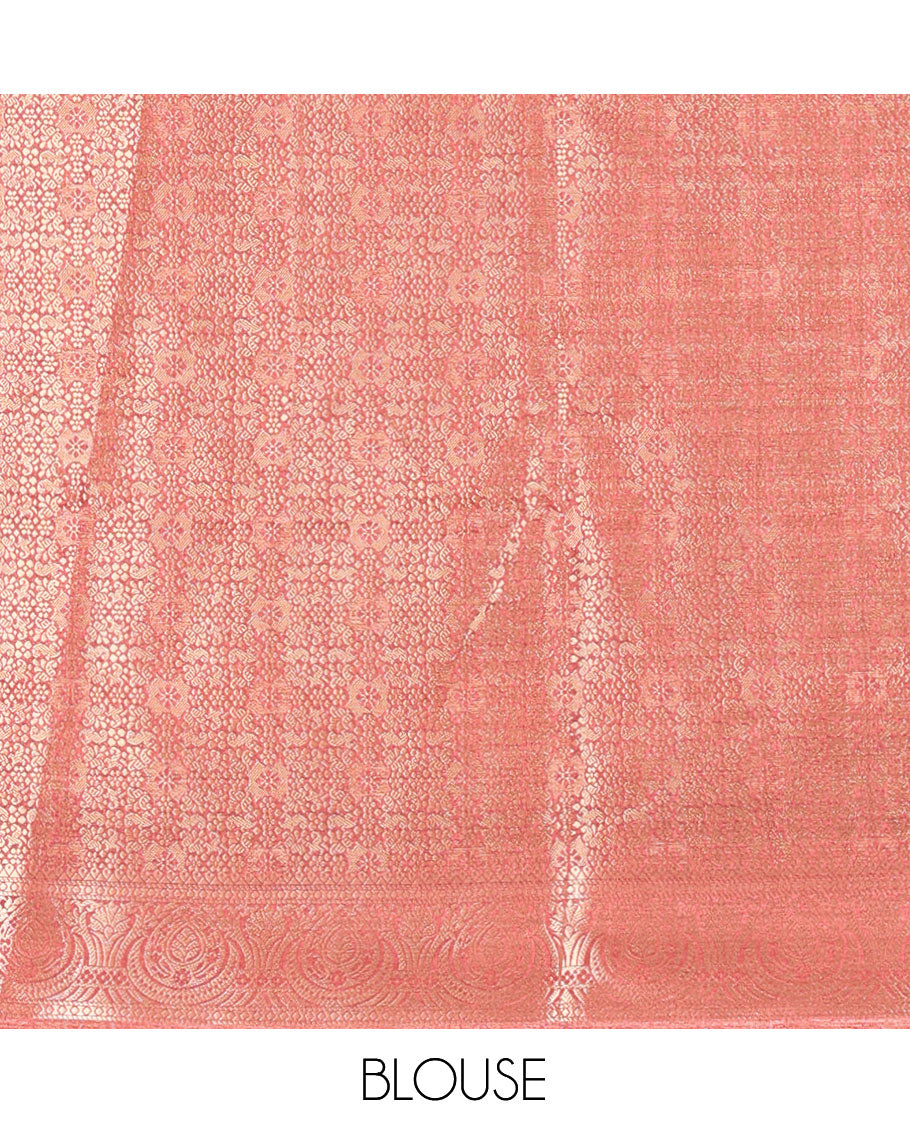 Brown Fancy Tussar Saree, Intricate Border, Grand Pallu, a Contrast Printed Blouse, Matching Brocade Blouse