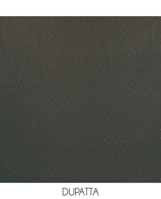 Green Material Churidar Set, Swarovski Stone Work Fox Georgette Top, Comes with a Plain Santoon Bottom, and a Scallop Swarovski Stone Work Fox Georgette Dupatta