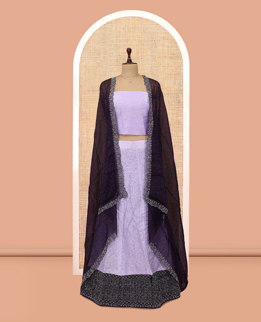 Lavender Banarasi Half-Saree, Finely Crafted with Bead Work Skirt, a Contrast Stone Work Border, Matching Blouse, and Contrast Scallop Stone Work Dupatta